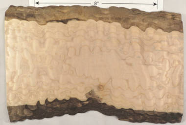 quilted maple
